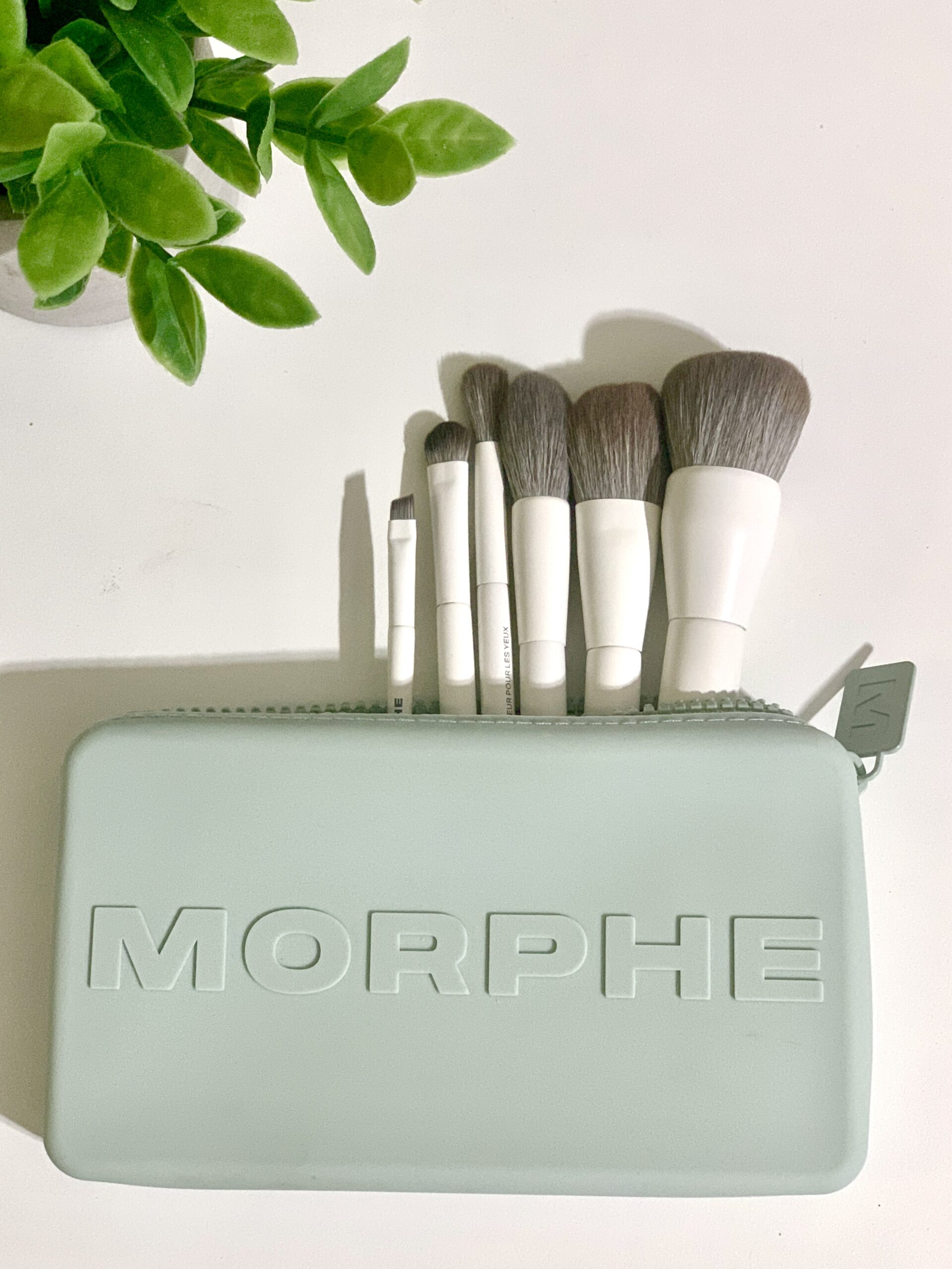 Pincéis Morphe Along for the Glide kit de viagem